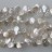 Freshwater Pearl Dancing Coin White 12-13mm 16"