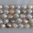 Freshwater Pearl Coin Multicolor 12-13mm 16"