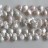 Freshwater Pearl Dancing Coin White 12-13mm 16"