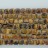 Faceted Square Tiger Eye 10mm 16"