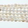 Freshwater Pearl Coin Natural Peach 12-13mm 16"
