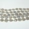 Freshwater Pearl Coin White 15-16mm 16"