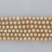 Freshwater Pearl Champagne 9-10mm 16'' 