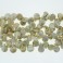 Freshwater Pearl Dancing Coin Yellow 12-13mm 16"