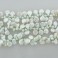 Freshwater Pearl Dancing Coin Light Green 12-13mm 16"