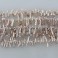Freshwater Pearl Biwa Stick Top Drilled Natural 3x15mm 16"