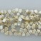 Freshwater Pearl Dancing Square Champagne 11-12mm 16"