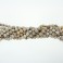 Round Bead  Fossil Coral 12mm 16"